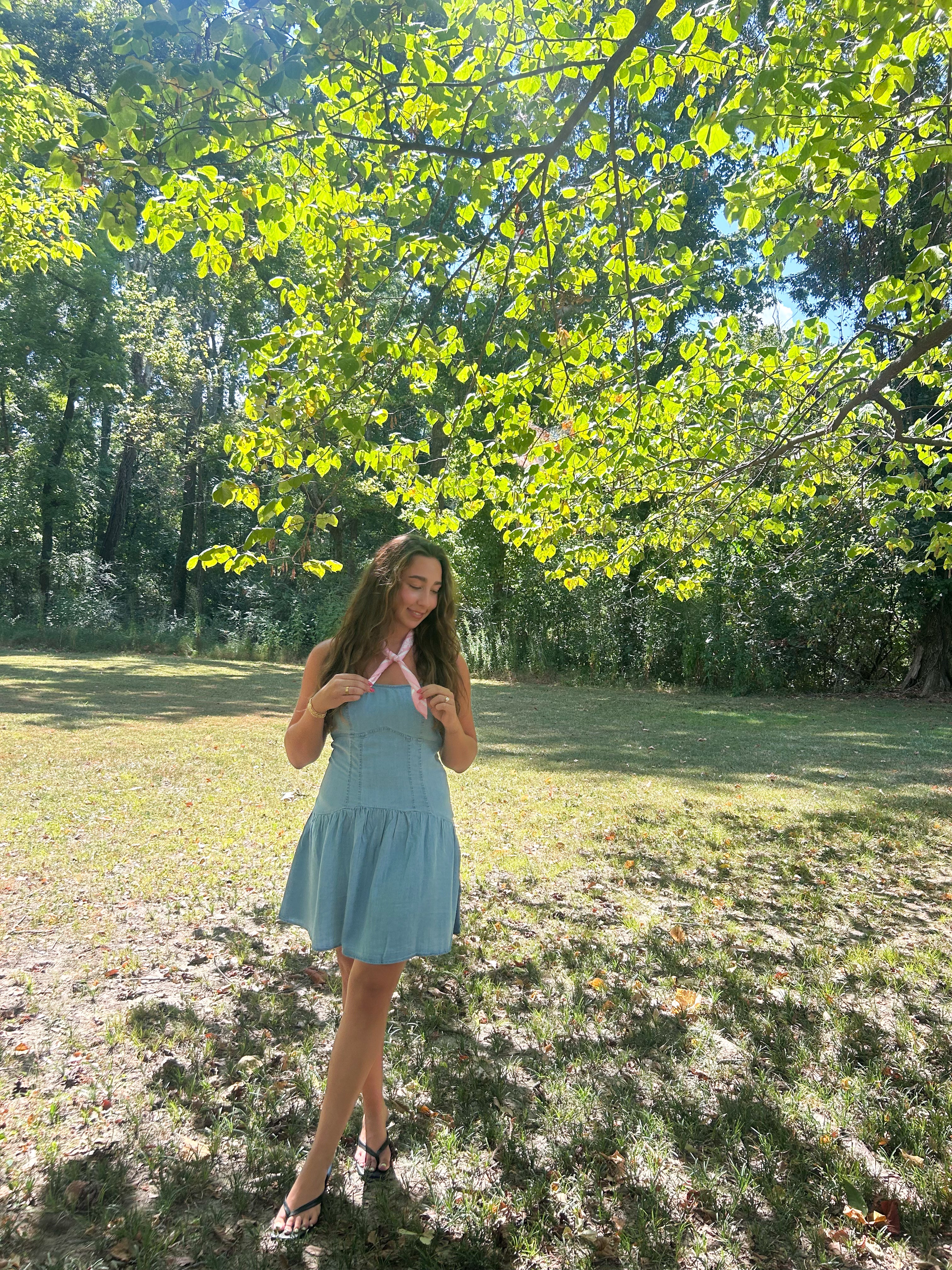 Drop Waist Denim Dress