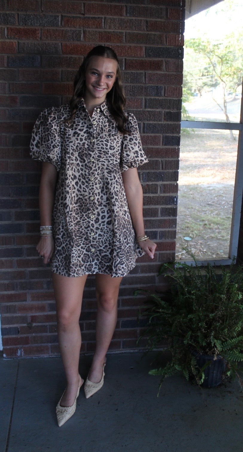 Leopard Minnie dress
